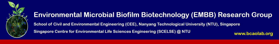 Environmental Microbial Biofilm Biotechnology (EMBB)